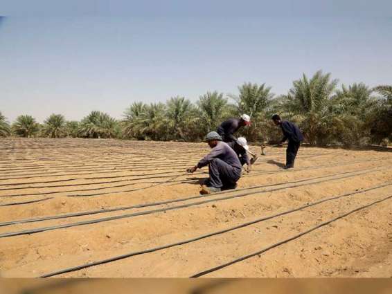" الرقابة الغذائية ": خطة لتحقيق الاستدامة الزراعية في أبوظبي