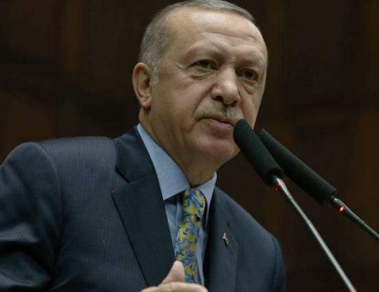 Erdogan Intends to Discuss Creation of Security Zone in Syria With Putin - Ankara