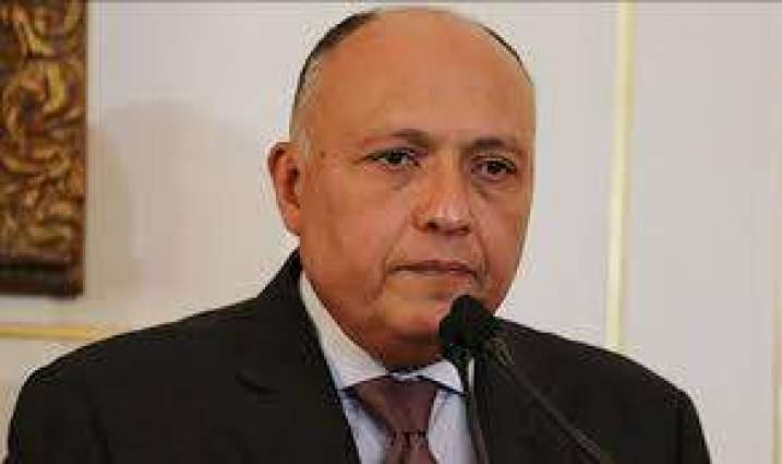 وزير الخارجية المصري: سنعمل على إنجاح القمة الاقتصادية ببيروت