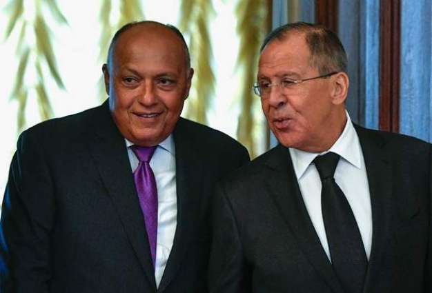 Russian, Egyptian Foreign Ministers Discuss MidEast, Russia-African Union Summit - Moscow