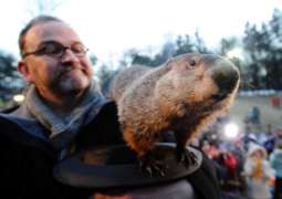 Groundhog Day is celebrated in both the United States and Canada 