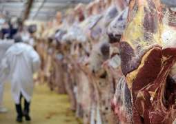 EU Inspectors Visit Poland Amid Sick Cow Scandal - Polish Veterinary Chief