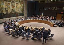 UN Security Council Discusses Chemical Attacks in Syria - German Ambassador