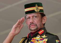 Russian Upper House Speaker Says Sultan of Brunei Has Plans to Visit Russia