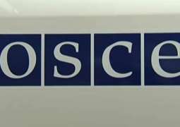 OSCE Media Freedom Watchdog Urges Kiev to Respect Journalists' Right to Protect Sources