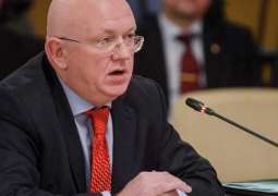 Russia Hopes States Refrain From Sending Troops, Inciting Unrest in Venezuela - Nebenzia