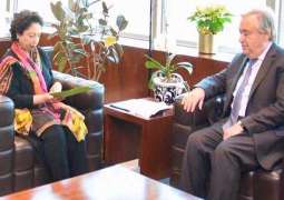 Pakistani envoy meets top UN leaders, calls for de-escalation, Kashmir solution