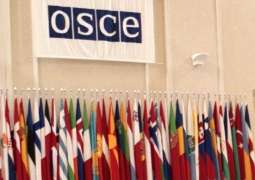 Russian Lawmaker Says US Delegates to OSCE Interested in INF Talks, 'Ball in US Court'