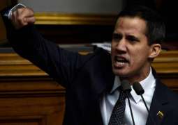 Germany's Die Linke Party Urges Berlin, EU to Cancel Recognition of Guaido's Leadership