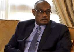 Consensus on Syria's Return to LAS Unlikely to Be Reached by March Summit - Sudan Minister
