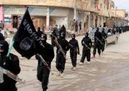  EU States Eyeing Int'l Legal Body as Option to Battle Problem of Returning Jihadists