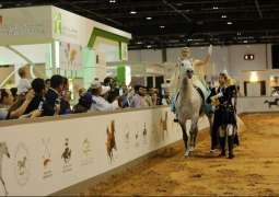 Global equestrian community to meet at Dubai International Horse Fair in March