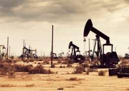 France to Meet Energy Demand Despite Oil Exploration Phaseout - Petroleum Association