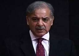 Pakistan has right to defend its frontiers: Shehbaz Sharif