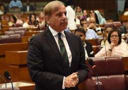 Shehbaz Sharif lauds PAF for retaliatory action against India