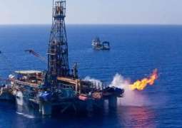 Cyprus Interested in Russian Companies Partaking in Gas Drilling Tenders - Minister
