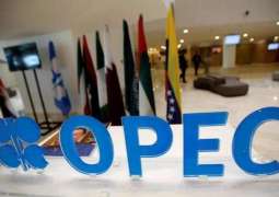 OPEC, US Shale Producers Will Not Discuss NOPEC in Houston in March - Equatorial Guinea