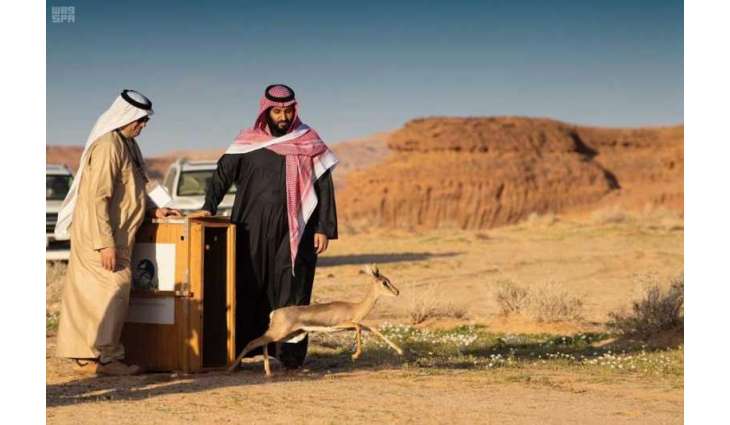 سمو ولي العهد يطلق محمية شرعان الطبيعية في محافظة العلا