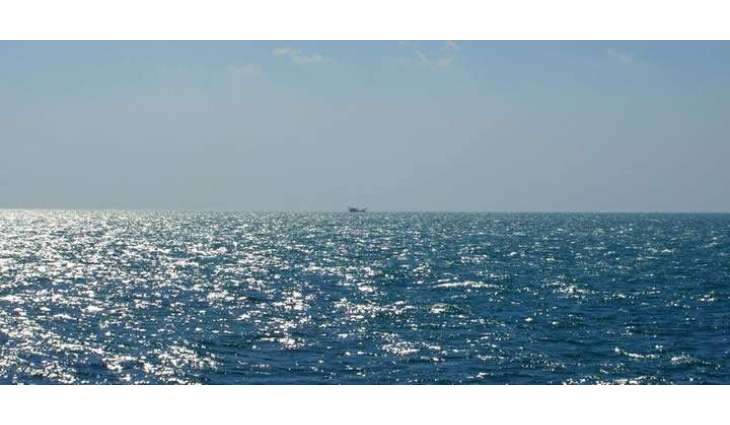 WGS 2019: 33% of Arabian Gulf’s marine species face extinction in 70 years, Climate Change Forum told