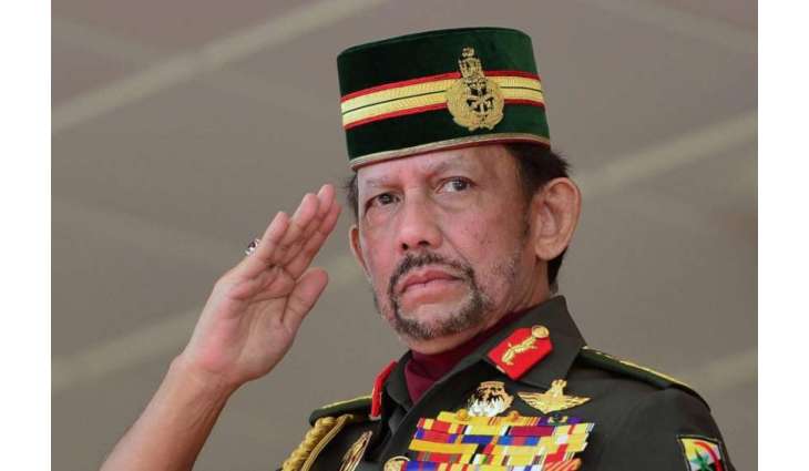 Russian Upper House Speaker Says Sultan of Brunei Has Plans to Visit Russia