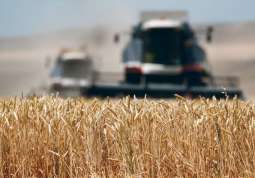 Russia to Wait for Saudi Response on Grain Deliveries for 2 Months - Grain Quality Center