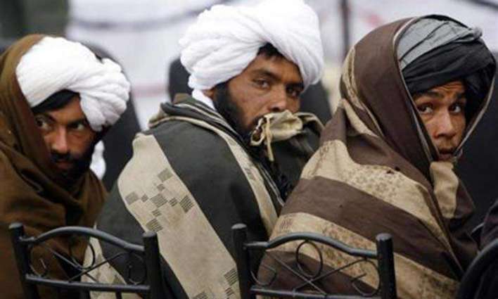 Taliban Says Proposed Supplementing Afghan Constitution With More Islamic Principles