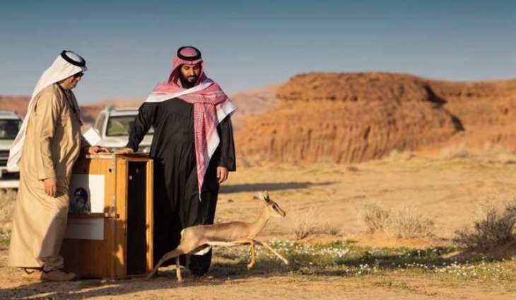 سمو ولي العهد يطلق محمية شرعان الطبيعية في محافظة العلا