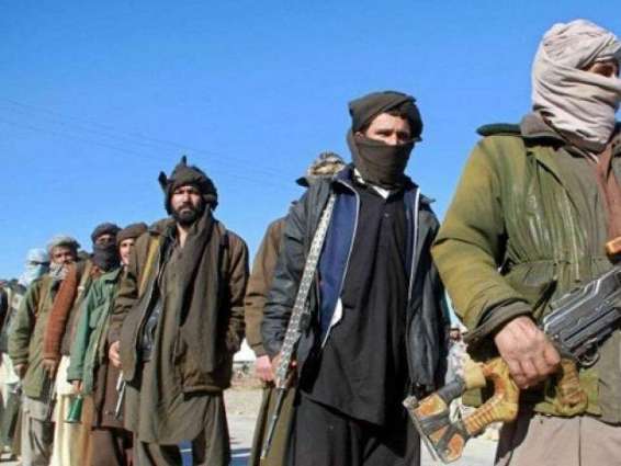 Moscow Would Like Taliban to Take Part in Afghan Elections - Foreign Ministry