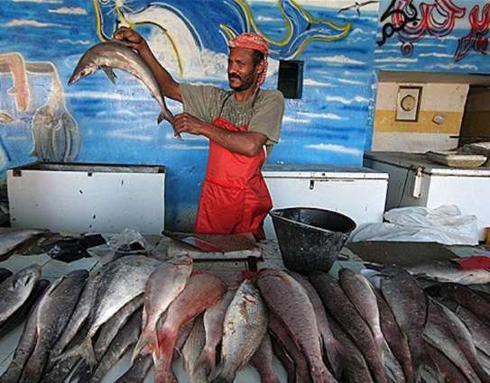 Yemen's Mocha sees opening of Al Ruwais fishery