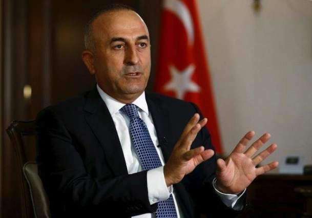 Turkey Coordinates With Russia, US Details of Future Safe Zone on Syrian Border -Cavusoglu