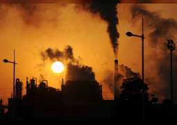 Air pollution claims 7 million lives a year: UN rights expert