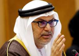 UAE calls for action against ongoing regional interference in internal affairs of Arab countries