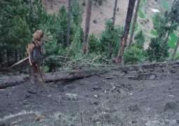 Case registered against Indian pilots for destroying trees in Balakot
