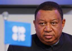 OPEC Following US NOPEC Legislation Process With Interest, Hopes Reason to Prevail - Chief