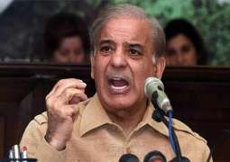 Barred from meeting Nawaz Sharif despite repeated requests: Shehbaz