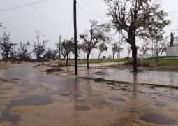 Mozambique Asks Russian Government for Support in Wake of Cyclone Idai - Ambassador