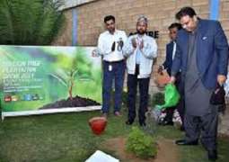 26000 sapling to be planted in Jhelum: Information Minister Chaudhary Fawad Hussain