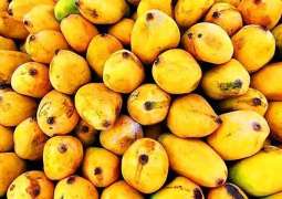 Ministry issues no import permit, PPRO for import of Mango Pulp