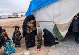 يجب إعادة نحو 400 طفل من المخيمات السورية إلى وطنهم- سناتور