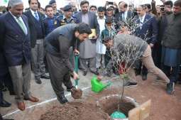 Spring plantation kicks off at NUST; Minister of State for Interior inaugurates drive by planting Olive tree