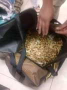 Bid to smuggle hashish in peanut packets foiled