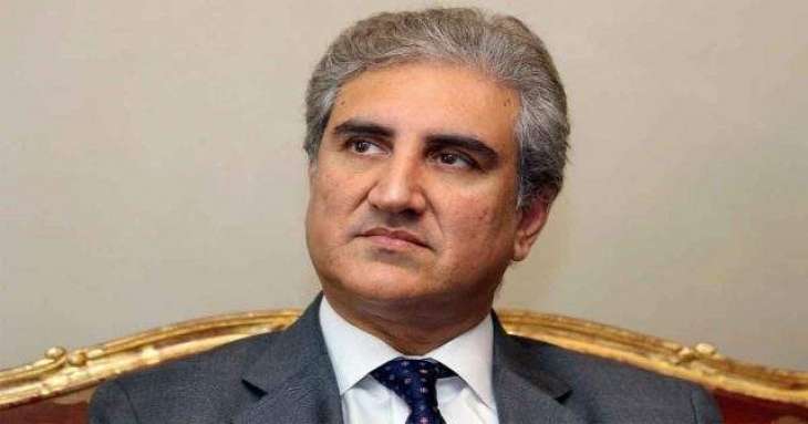 Abhinandan not released under pressure, FM Qureshi asserts--Says armed forces know how to protect borders