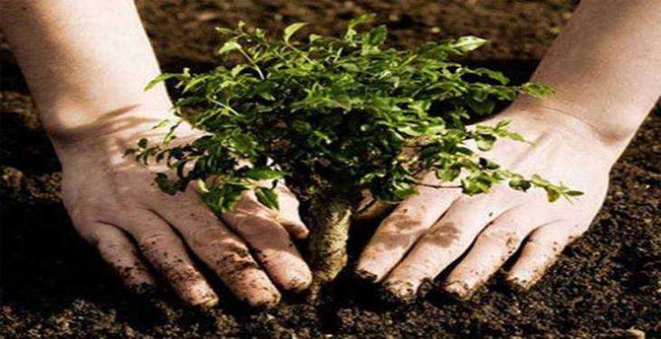 CAA starts tree plantation campaign in aviation sector