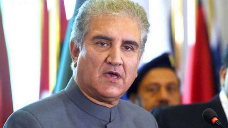 Revitalization of national economy Govt's top priority: Foreign Minister Shah Mahmood Qureshi