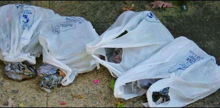 KP govt imposes ban on use of polythene bags, violators to face fine: Yousufzai