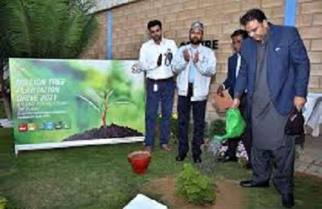26000 sapling to be planted in Jhelum: Information Minister Chaudhary Fawad Hussain