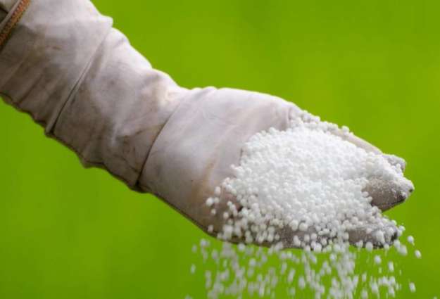 Urea Prices - Impact of Government Policies & Costs