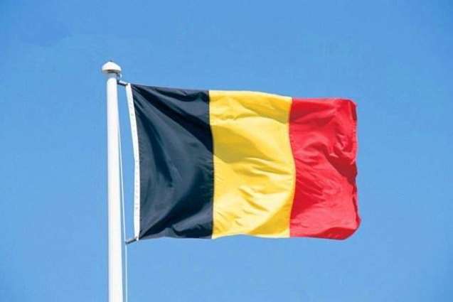 Belgian Authorities Approve 250 Measures to Prepare for Various Brexit Scenarios - Reports