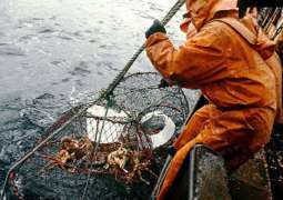 Russian FSB Detains Foreign Vessel Over Crab Poaching in Sea of Japan - Statement