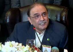 Asif Zardari should tell who is Mehreen Shah, Muhammad Idrees: Usman Dar